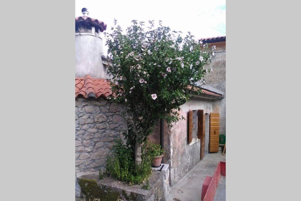 Vacation Home Marinici Mošćenička Draga المظهر الخارجي الصورة